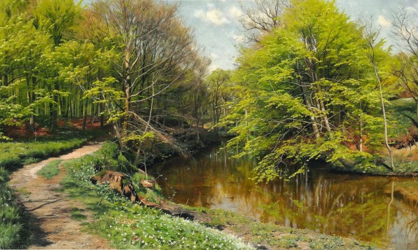 Phineas and anemones along a stream in a clear day by Peter Mork Monsted